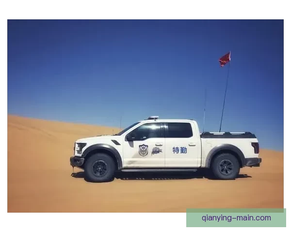 世界杯赛事胜负赔率实时查询与投注技巧全面指南